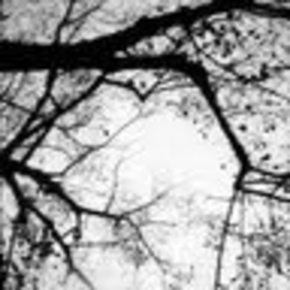 Meet your Posher, Milica - Picture 1 of 1